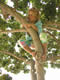 August 2002