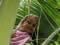 Dezember 2004