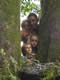 September 2003