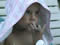 Juli 2002