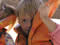 Oktober 2003